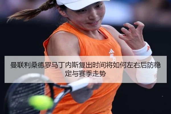 曼联利桑德罗马丁内斯复出时间将如何左右后防稳定与赛季走势